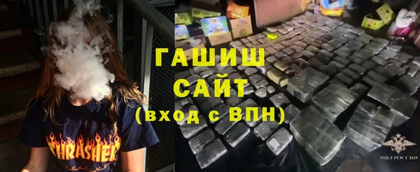 стаф Тутаев