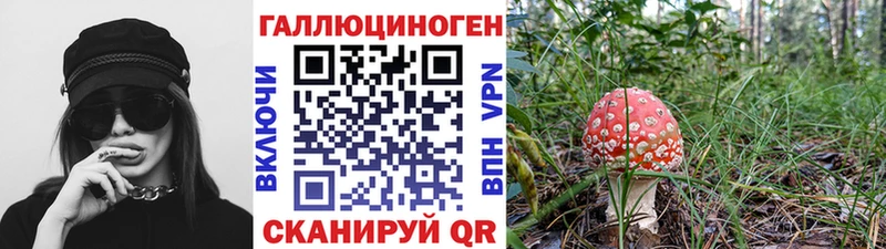 Псилоцибиновые грибы MAGIC MUSHROOMS  Николаевск 