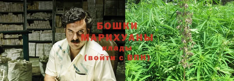 блэк спрут зеркало  Николаевск  Бошки Шишки SATIVA & INDICA 